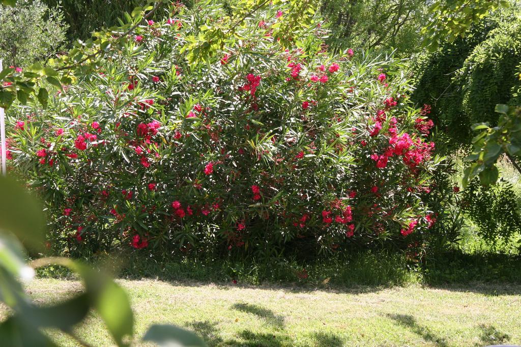 Combas  Villa Hanna المظهر الخارجي الصورة